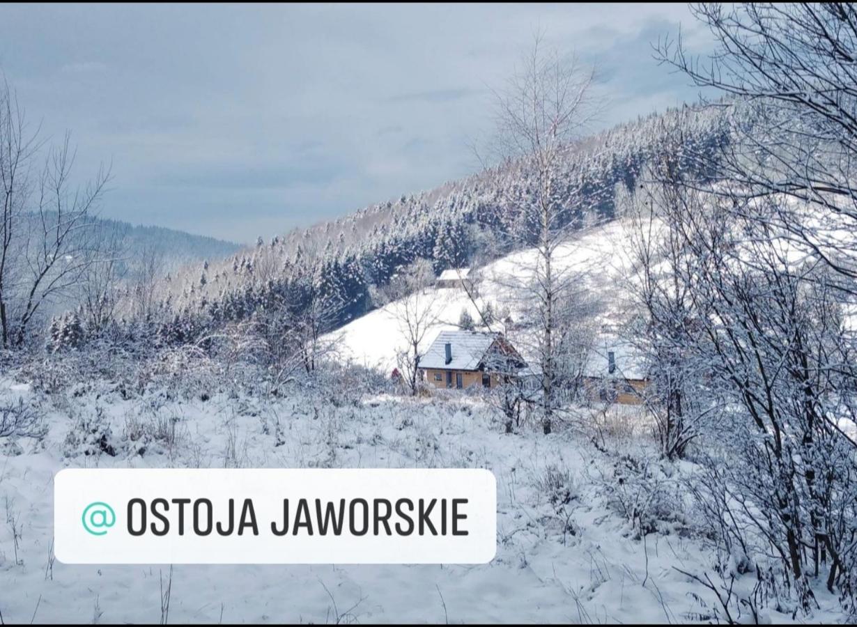Ostoja Jaworskie Стрышава Экстерьер фото
